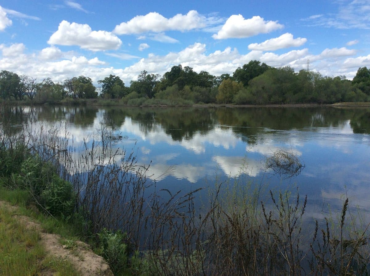 Clouds and treeline reflected in the still water of the river beside the campus