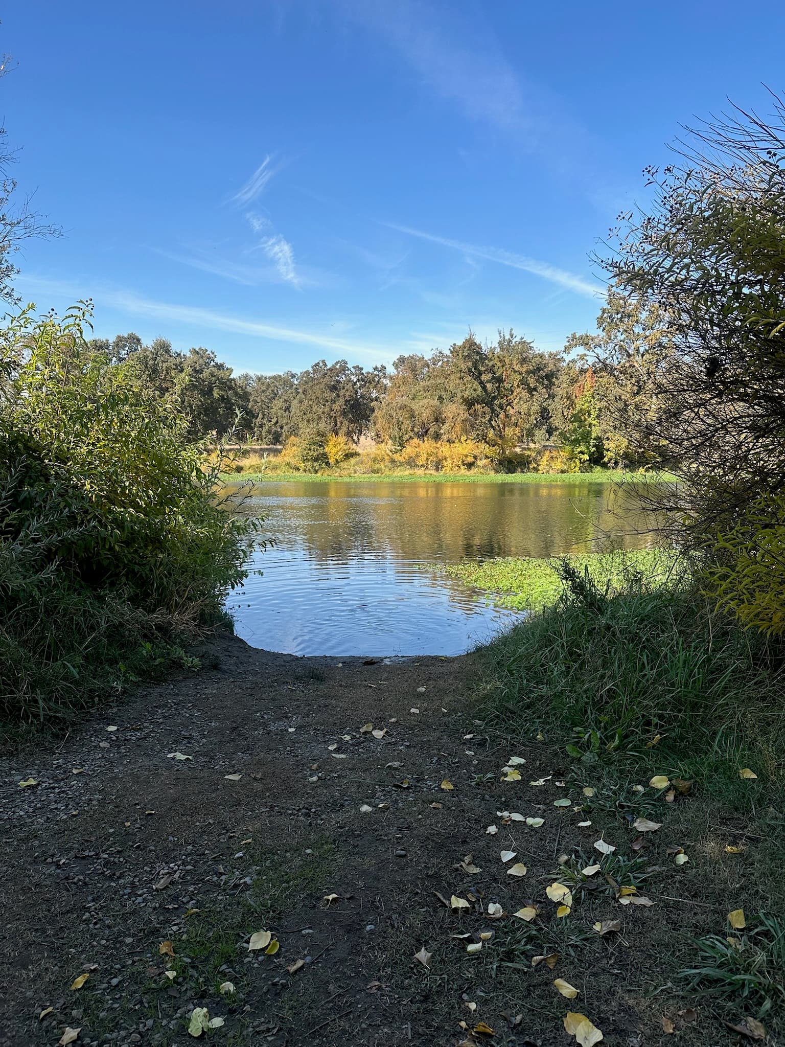 A trail opening onto the riverbank on the Wild Things campus