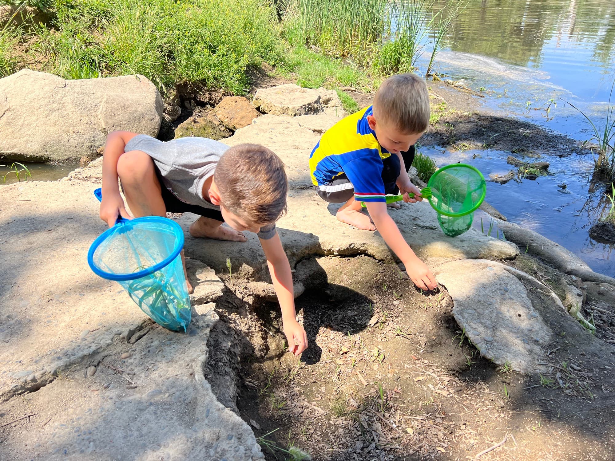 Two Wild Things students using nets to explore river wildlife along the rocky shoreline during an environmental studies lesson