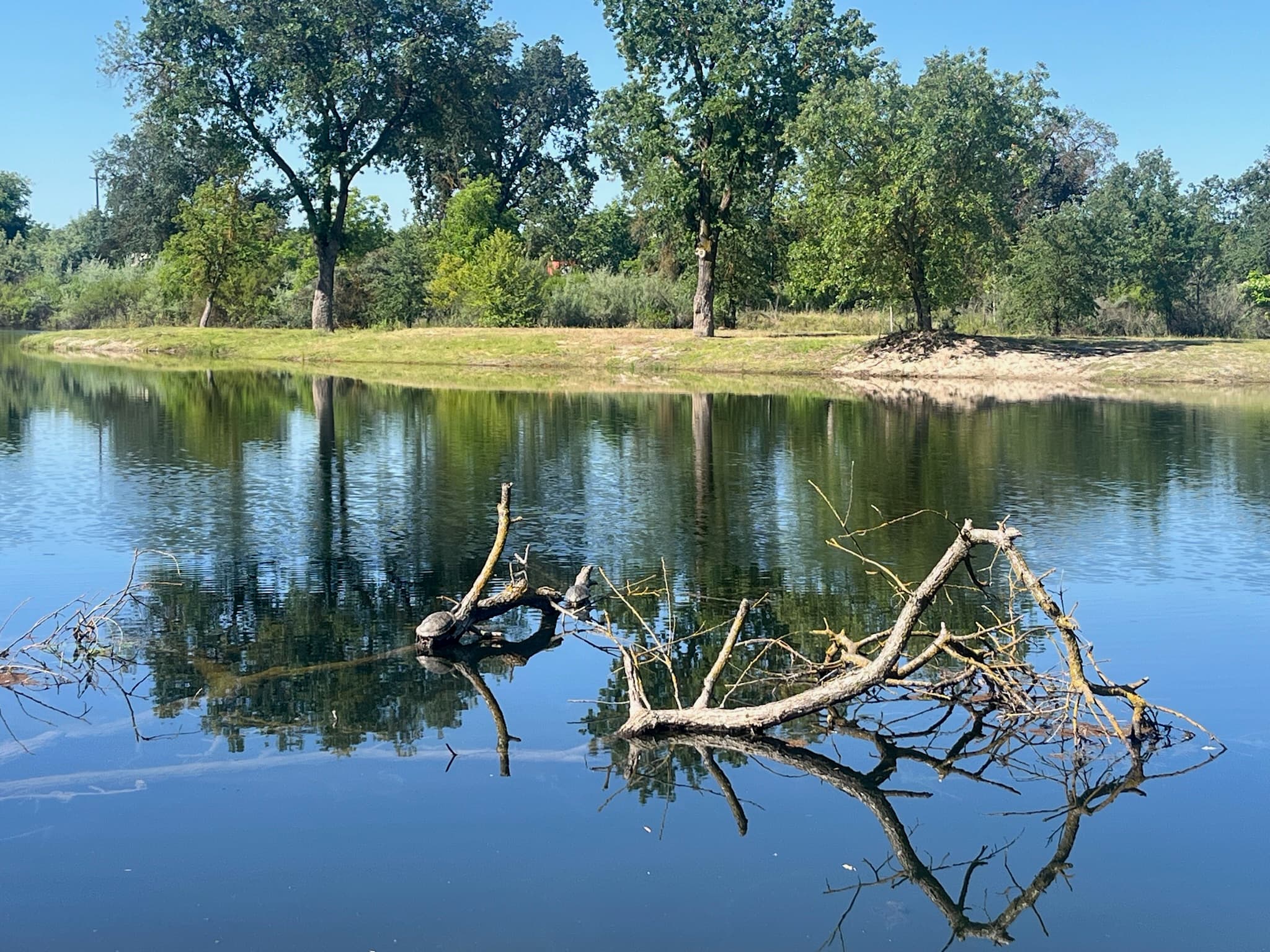 The tranquil pond and green trees on the Wild Things campus
